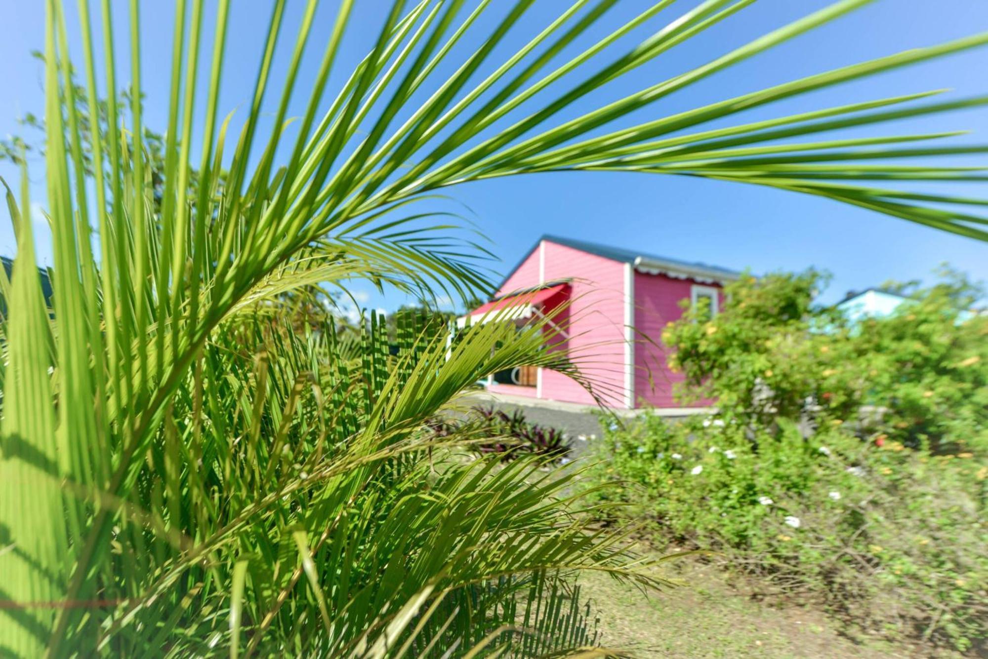 Les jardins de CHANTILLY -Bungalows avec jardins et piscines privées Baie-Mahault Habitación foto